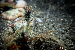 Checking me out... by Nadya Kulagina 